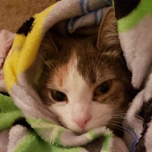 Meet your Posher, Claudia